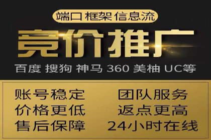 专业sem竞价托管服务，案例解析提升广告效果